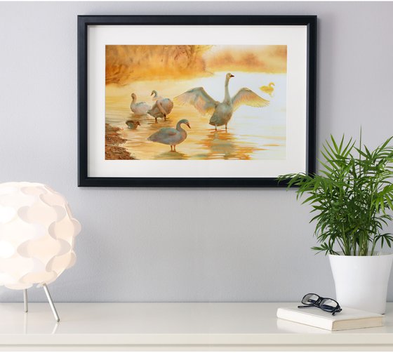 Swans in the lake bathed by the rays of sun - White Swan painting - Swans Lake - Swan watercolor  Mother's Day gift