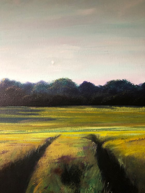 Westfield June Copse 1