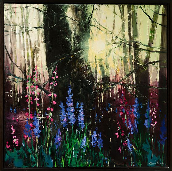'Sunset in the Forest'