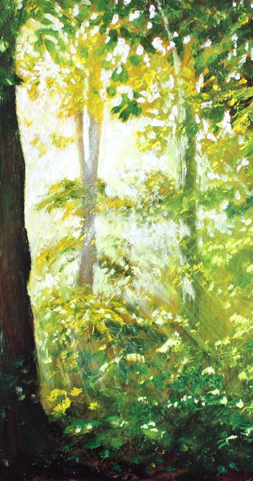 Sunlight Through the Trees by Rod Bere