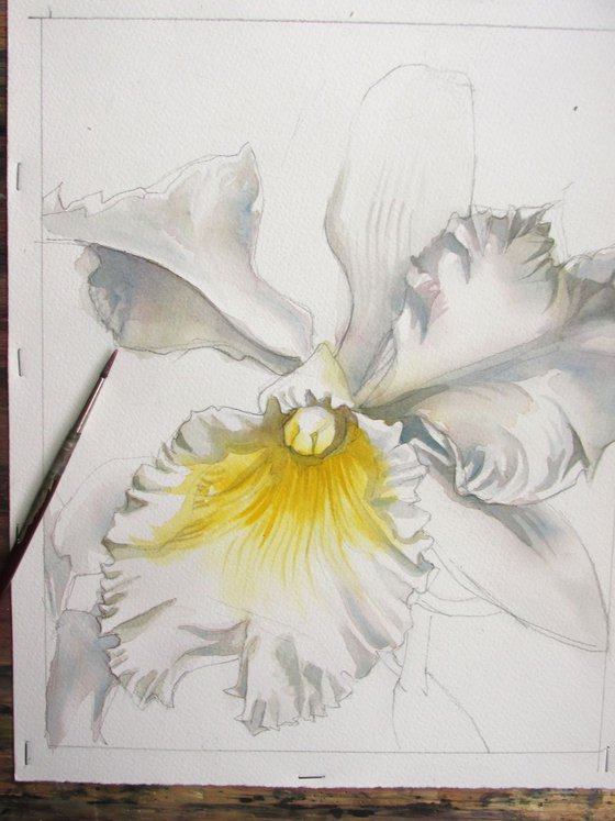 a painting a day # 42 "White cattleya"