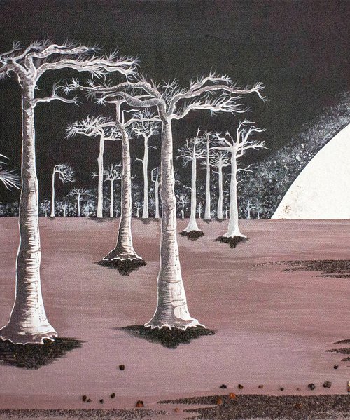 Baobabs in moonlight by Mileg