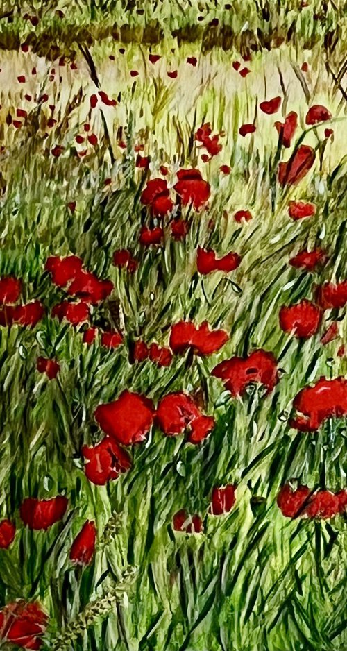 Red poppies by Isabelle Lucas