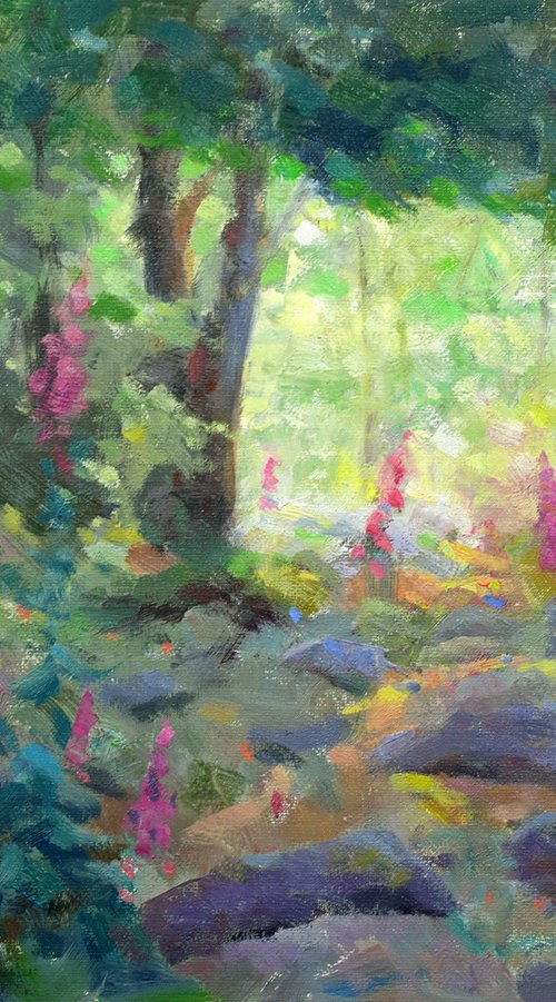 Foxgloves and rocks on forest floor by Gav Banns