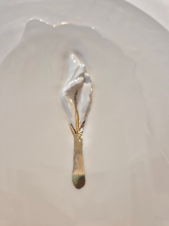 "Vulva Hypnotica XIV"