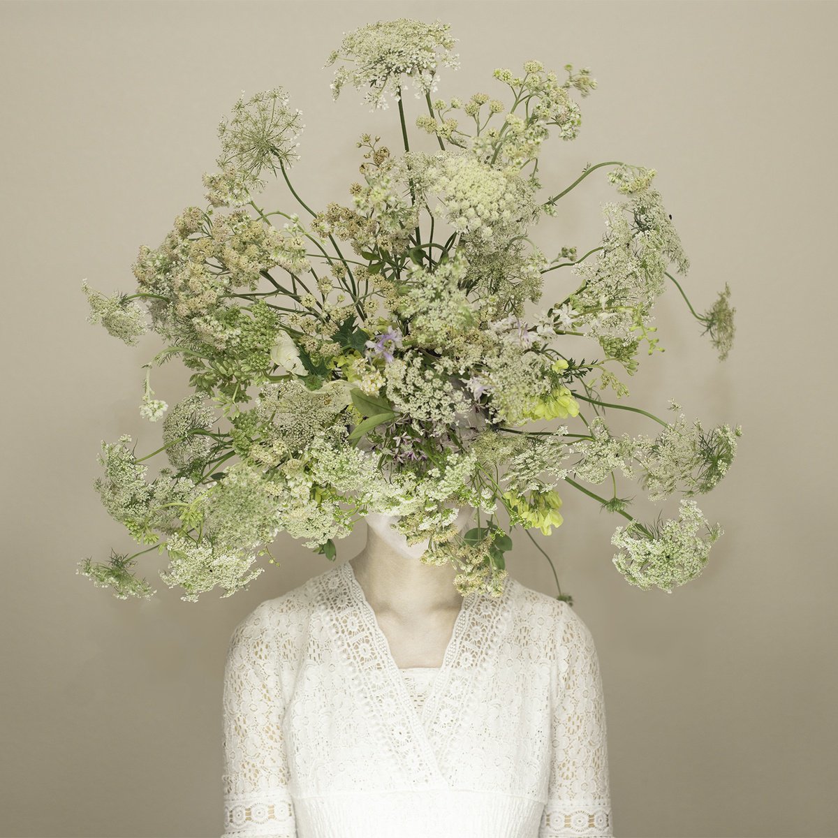 Surrealistic Botanical Photograph By Ziesook You, 20 X 20", Scent Of Texas 04012023, Original Artwork