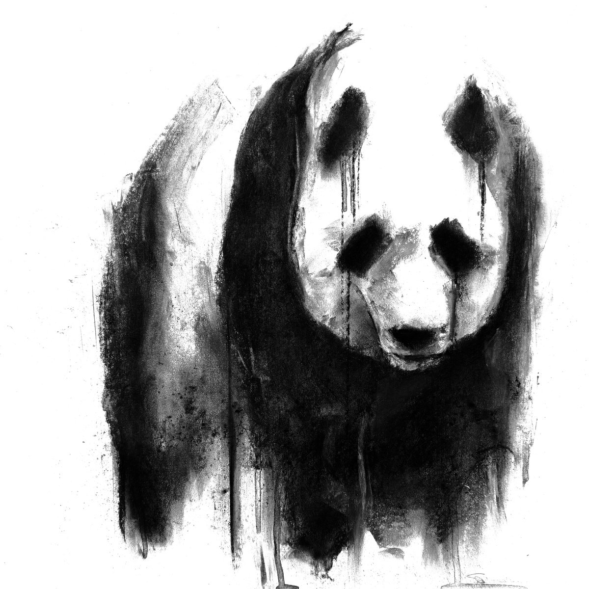 Expressive Animal Charcoal Drawing By Denny Stoekenbroek, 14 X 14, Silent Cry, Original Artwork