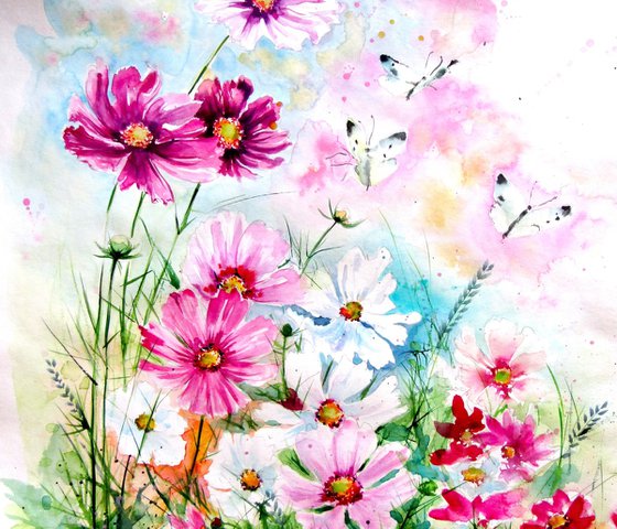 Cosmos flowers