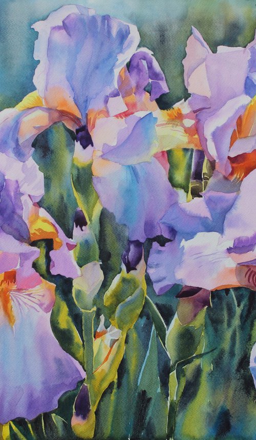 PINK IRISES#4 by Yurii Pashkov
