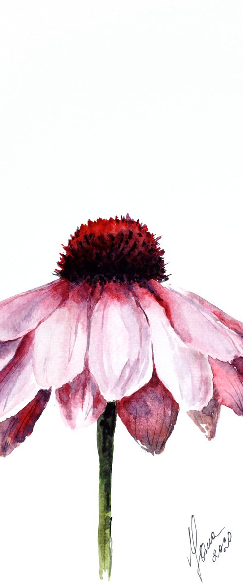 Pink Daisy Flower in Watercolor - ORIGINAL Painting by Yana Shvets