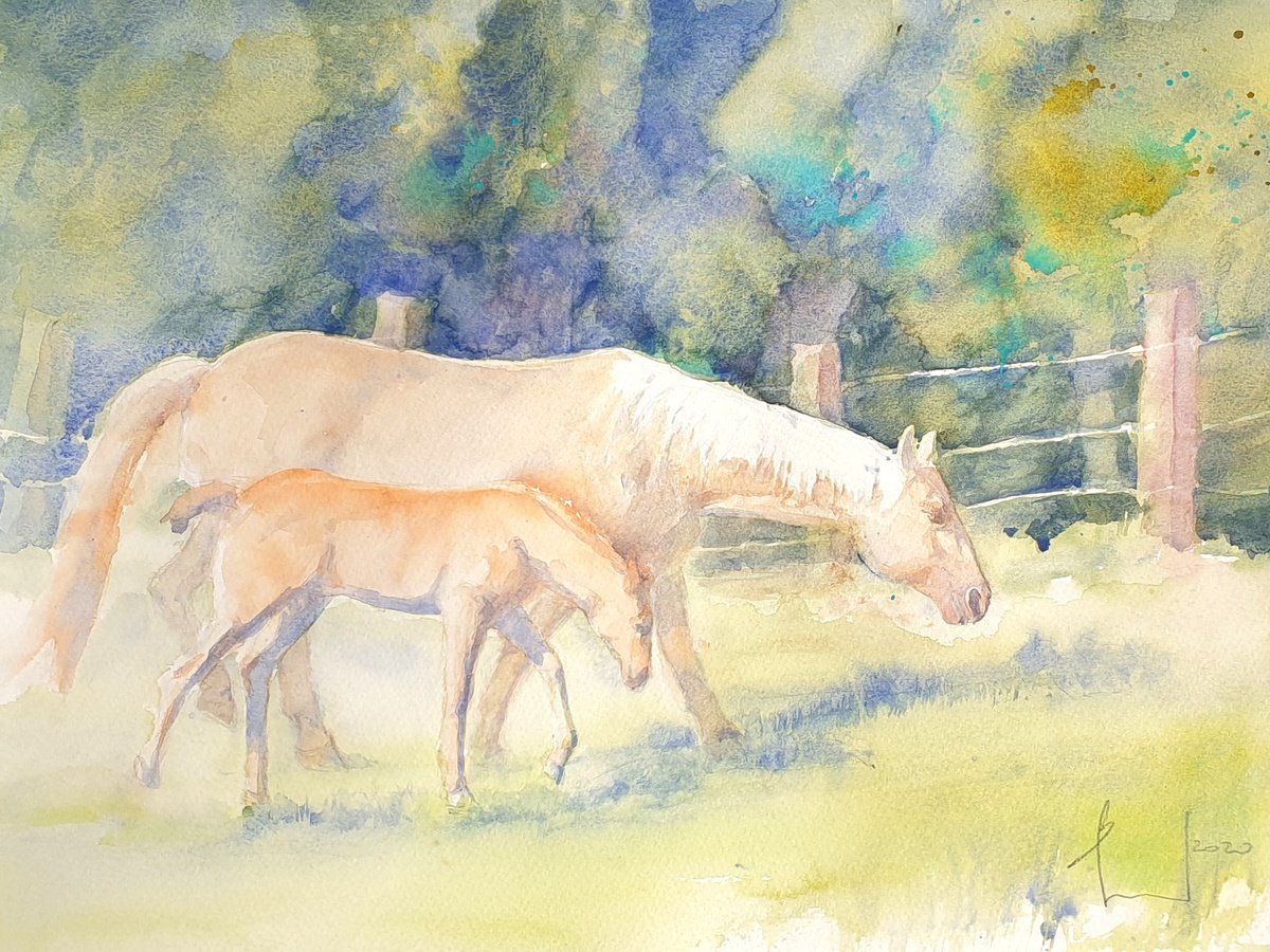 IN THE PASTURE 2020.056 original watercolour 40X30CM by Beata van Wijngaarden