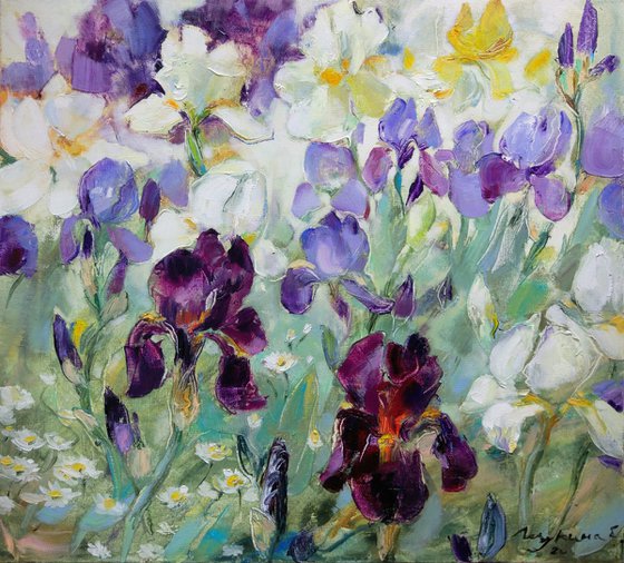 Purple and white irises
