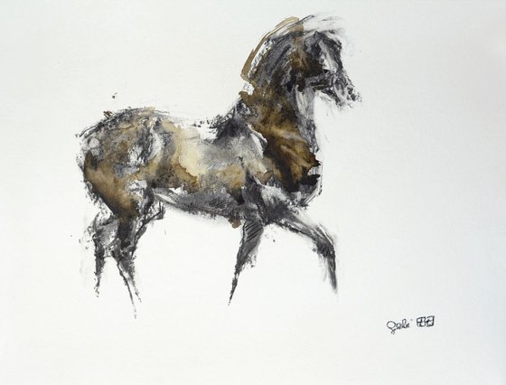 Equine Nude 83t