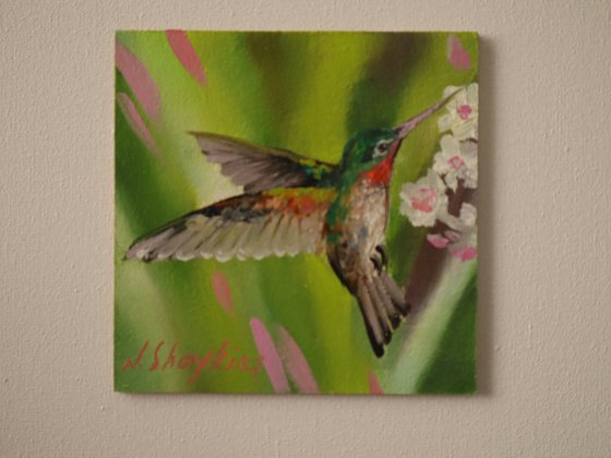 Hummingbird