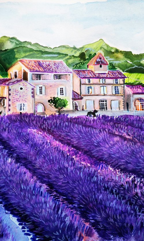 Lavender afternoon by Jelena Nova
