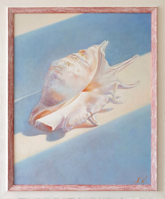 "An attribute of the divine Aphrodite."  still life seashell  liGHt original painting  GIFT (2021)
