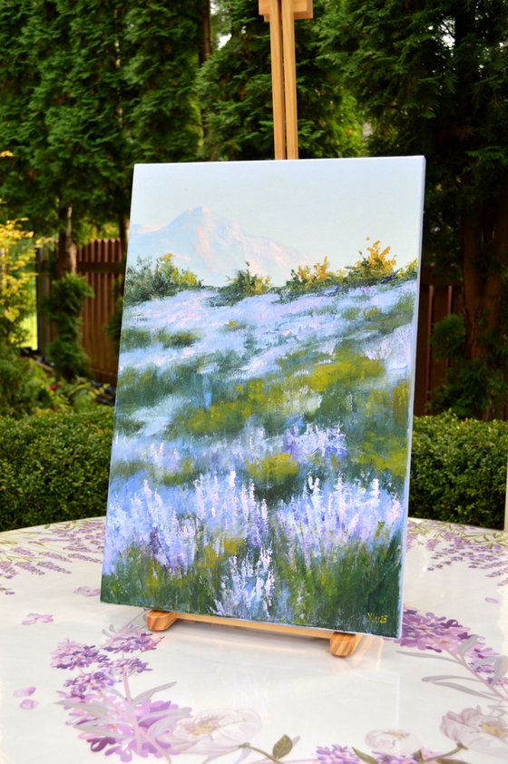 Wild lavender in the haze of the morning sun