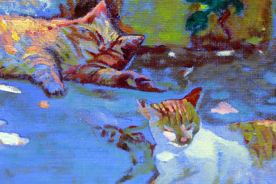 Kitty’s in Provence #1