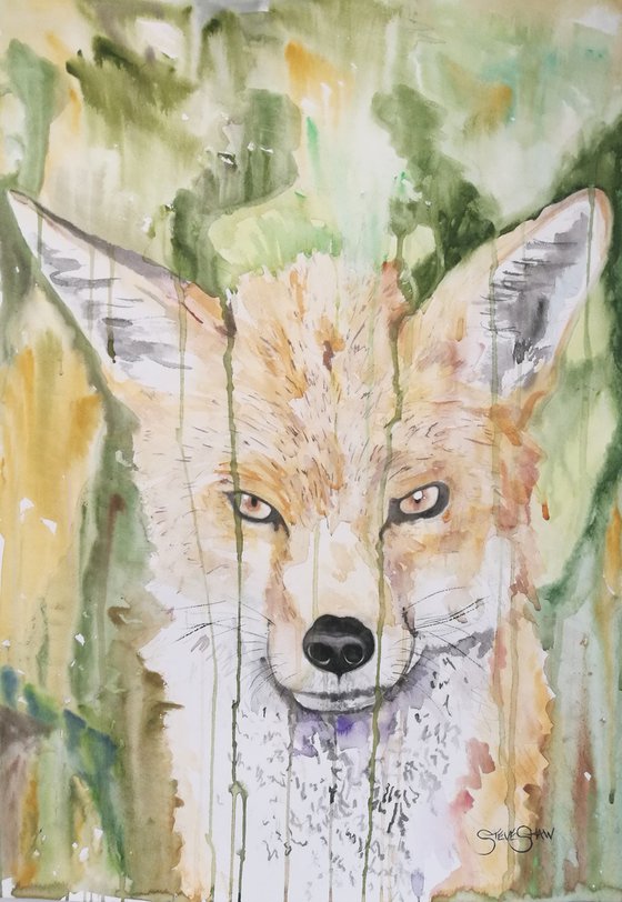 Focused. Watercolour Fox Painting on paper. 42cm x 59.4cm. Free Shipping