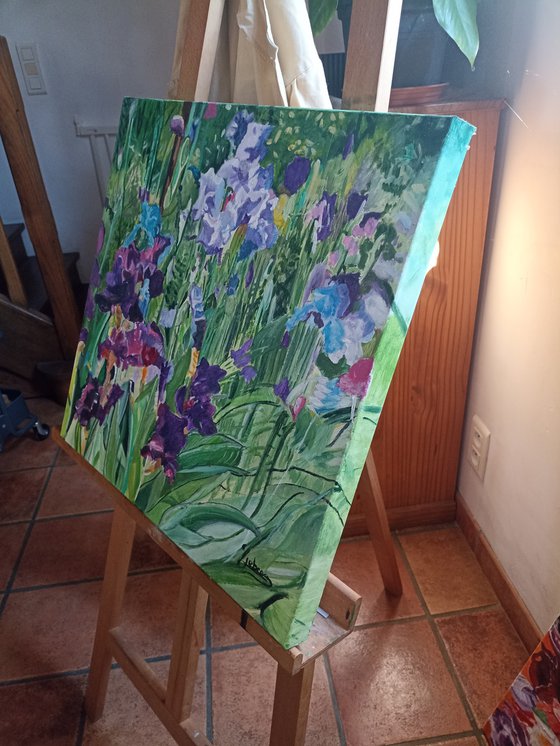 Irises flowers