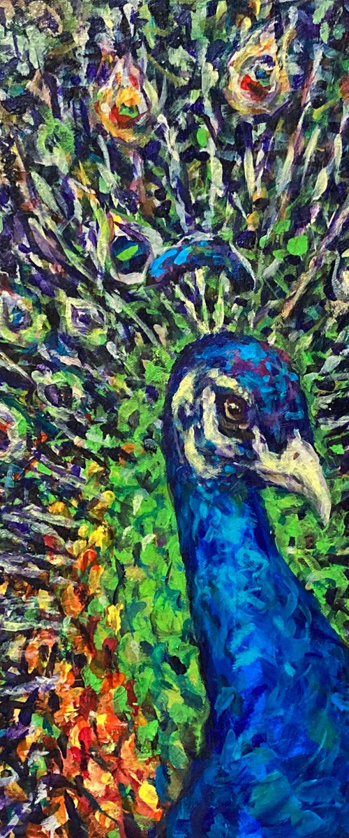 Peacock Magnificent, Peacock painting by Surin Jung