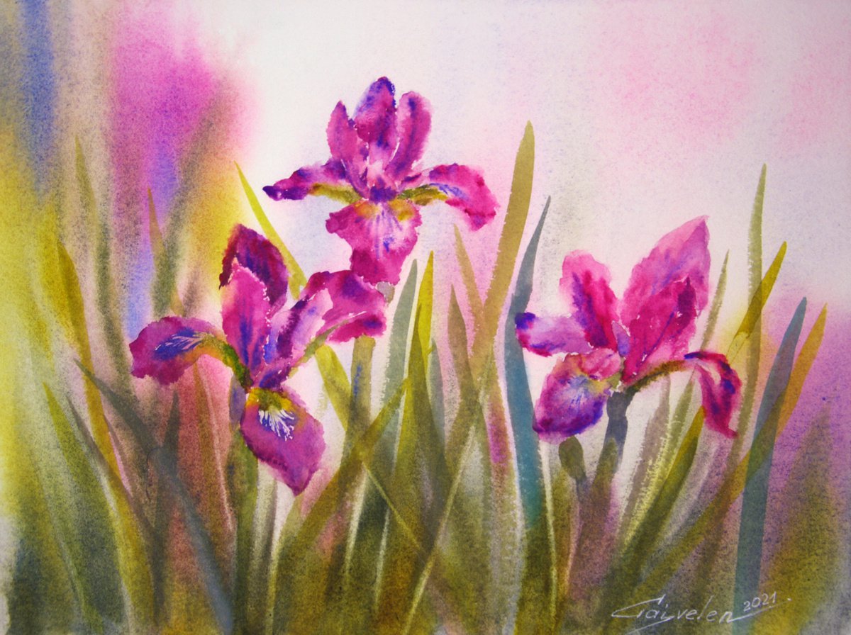 Wild irises by Elena Gaivoronskaia