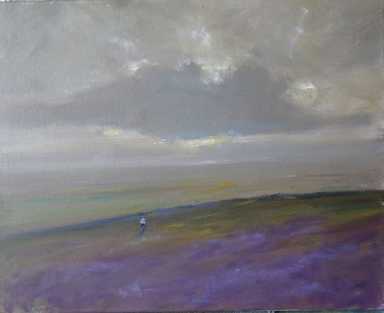 Dull, Misty Day in the Yorkshire Moors