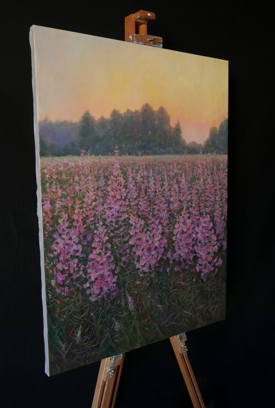 Sunset Over The Fireweed Field