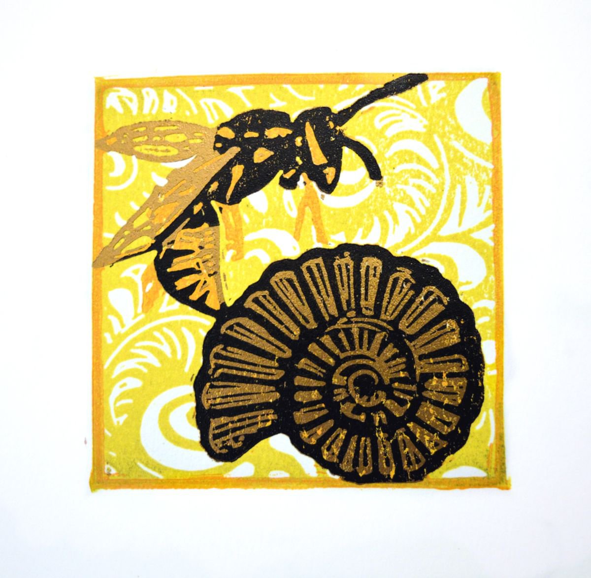 The wasp and the ammonite by Ieuan Edwards