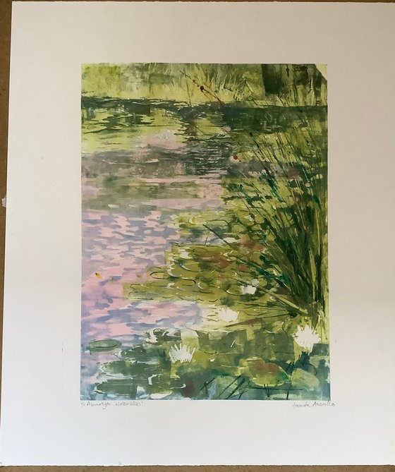 Water lilies