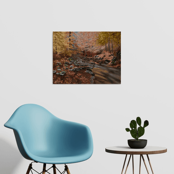 Sunny Autumn in the Forest