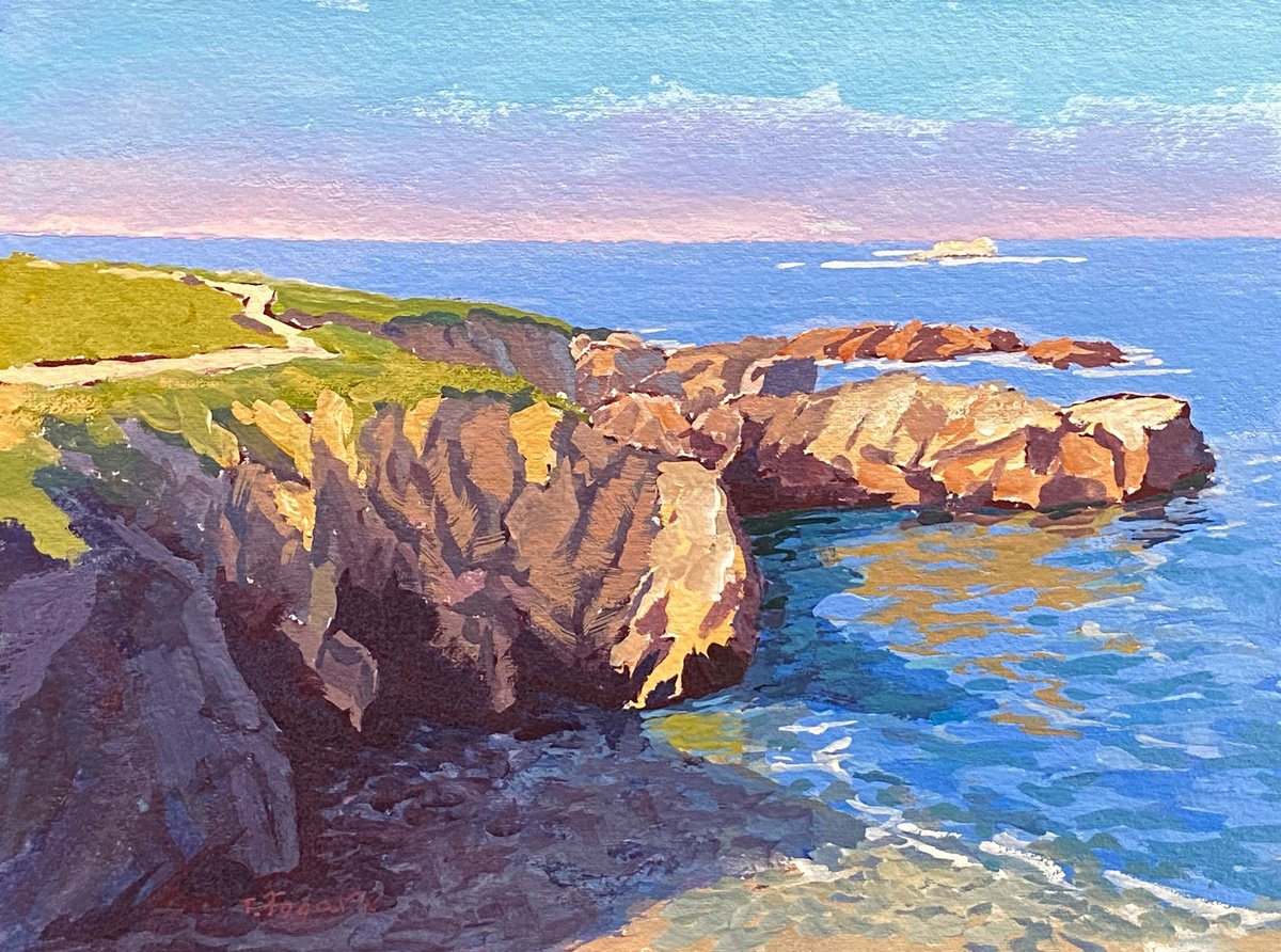 Impressionistic Landscape Painting By Tatyana Fogarty, 8 X 6", Morning Light Garrapata Cliffs, Original Artwork
