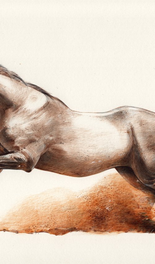 Running Horse by Daria Maier