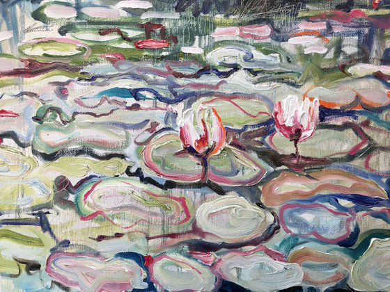 Water-Lilies