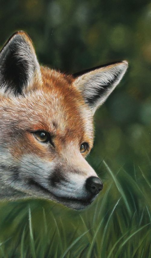 The Fox in Pasel by Tatjana Bril
