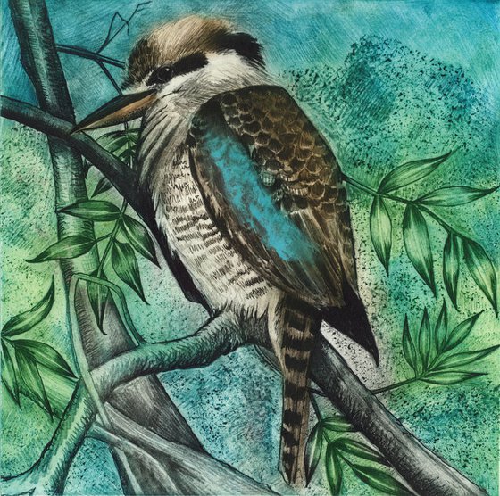 Kookaburra, Botanical Gardens Sydney