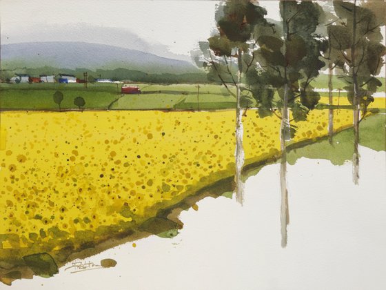 Yellow green composition 7