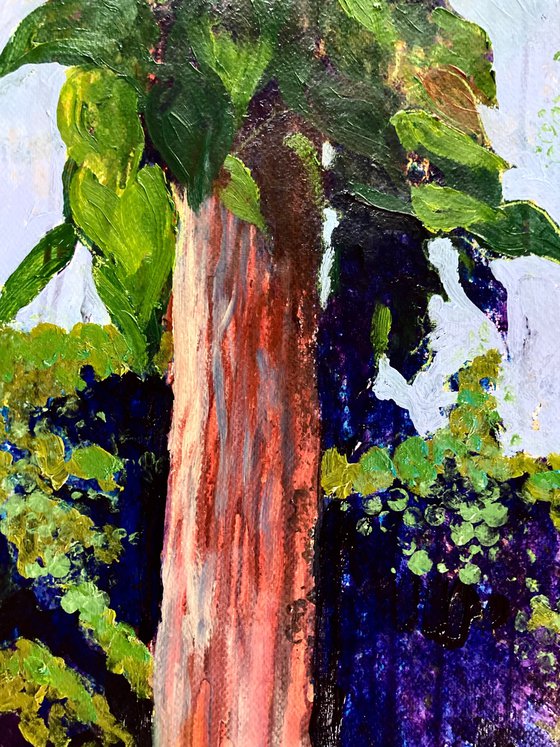 Teak tree