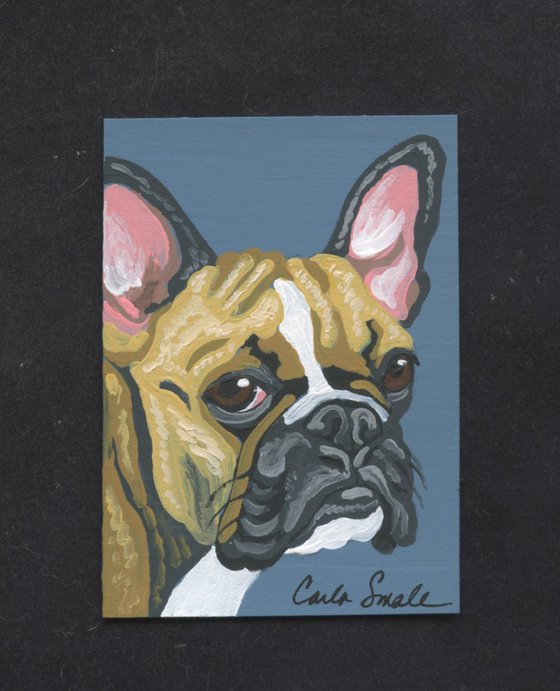 French Bulldog