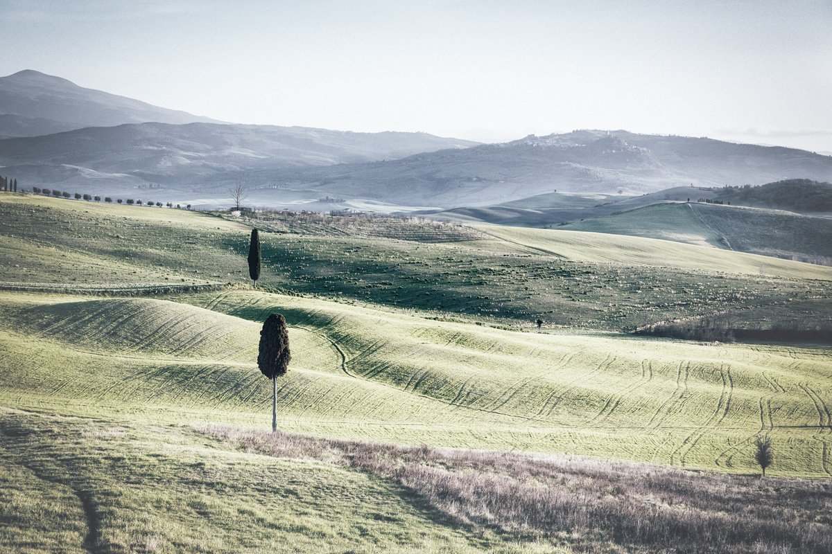 Impressionistic Photograph , Gladiator