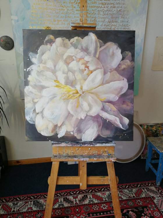 “In the light.Peony”