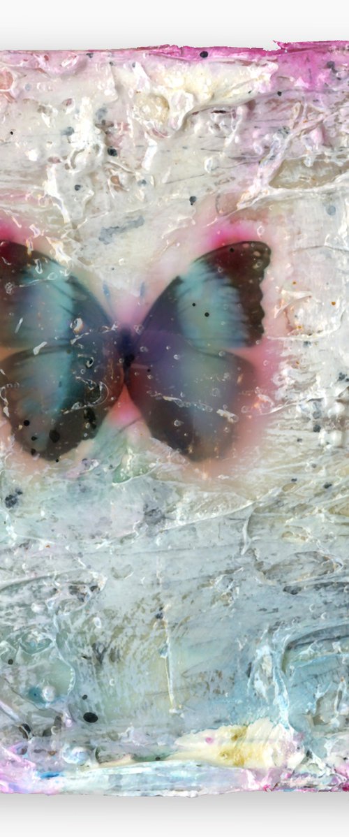 Butterfly Kisses 2 by Kathy Morton Stanion