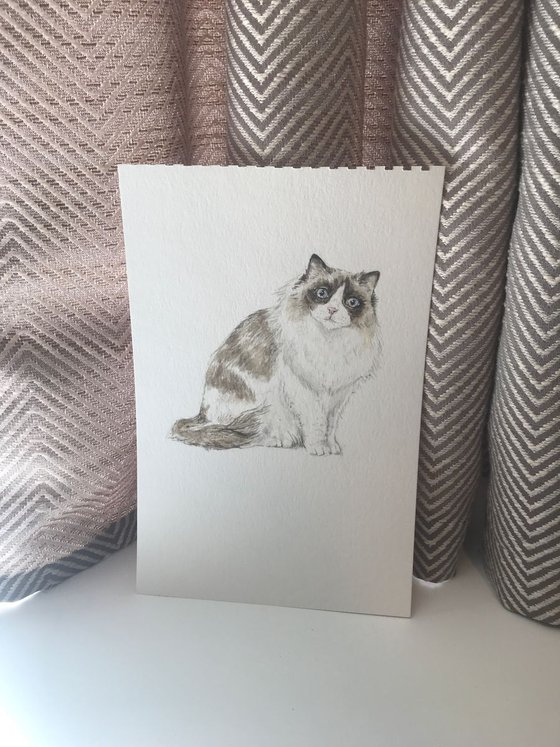 Ragdoll Cat Original Watercolor