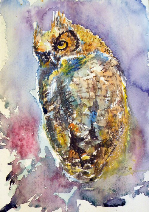 Owl at night II by Kovács Anna Brigitta