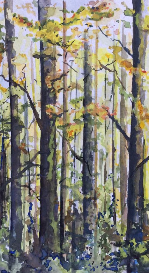 Autumn Woodland by Lucy Smerdon