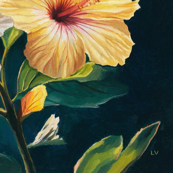 Two yellow hibiscus flowers