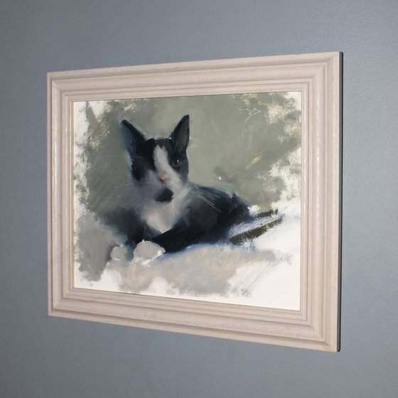 Watchful Whiskers - Uno