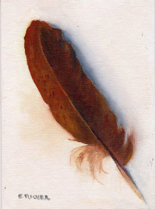 Feather by Elizabeth B. Tucker