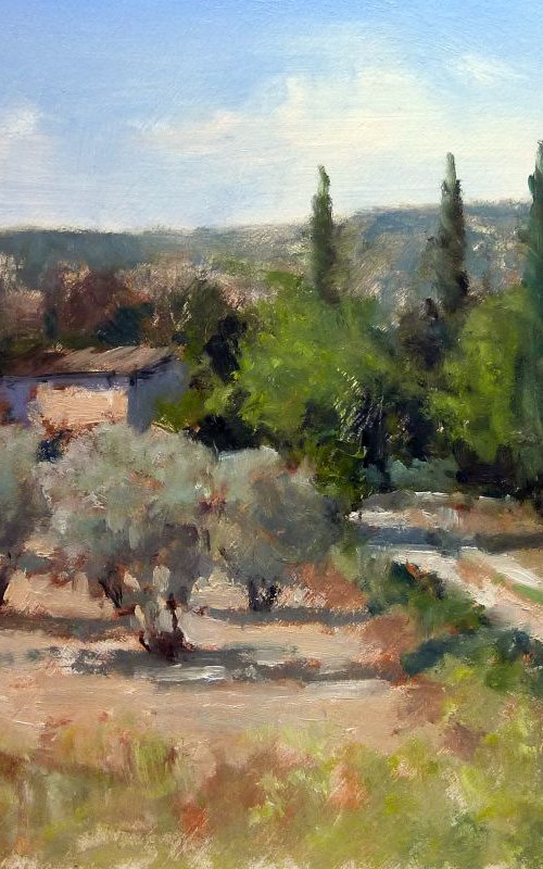 Olive Trees near Lourmarin by Pascal Giroud