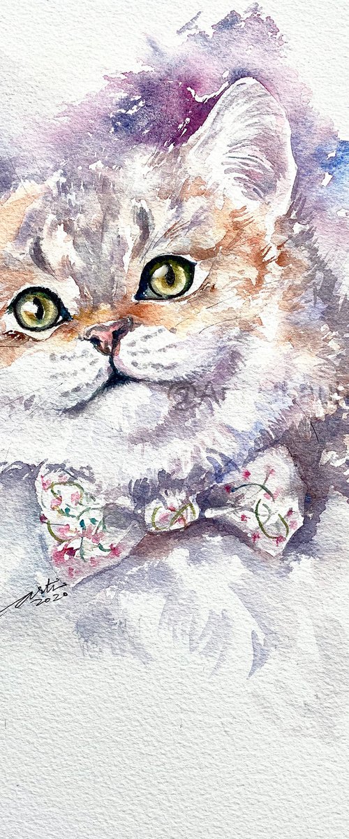 A Cat named Lily by Arti Chauhan